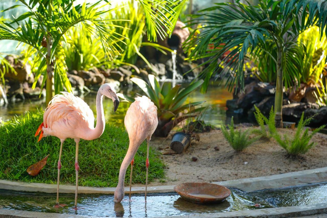 Pousada Sol E Mar マラゴージ エクステリア 写真